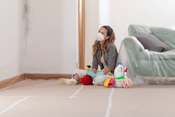 Reliable Mold Removal contractor in Nashville, GA by WQB Mold Removal